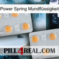 Power Spring Mundflüssigkeit 25